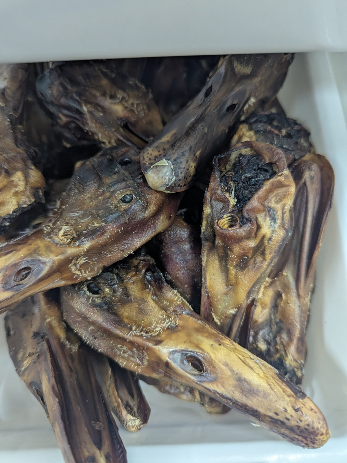 Dried Duck Heads