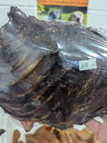 Dried Kangaroo Ribs