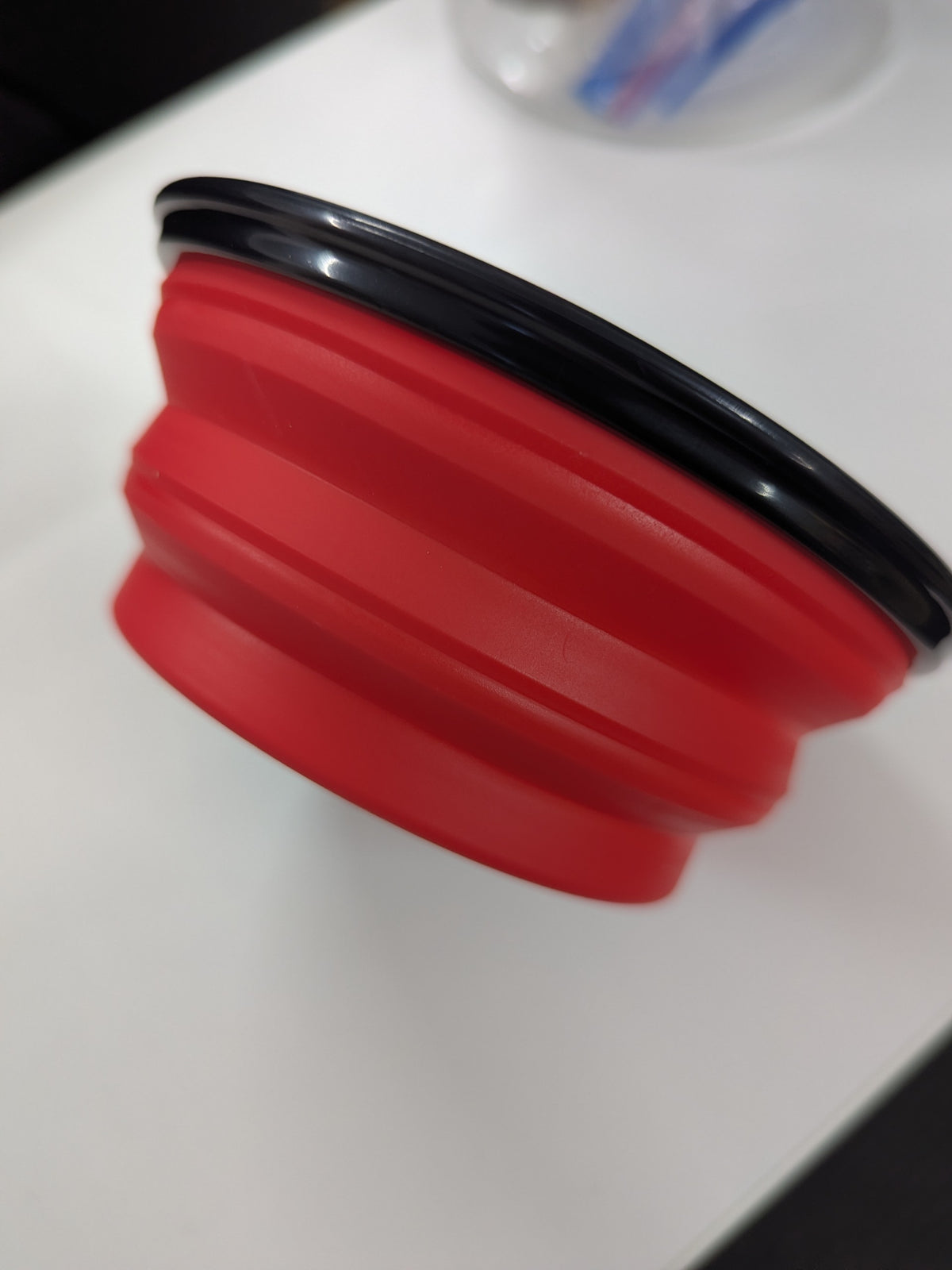 Collapsible Dog Travel Bowl