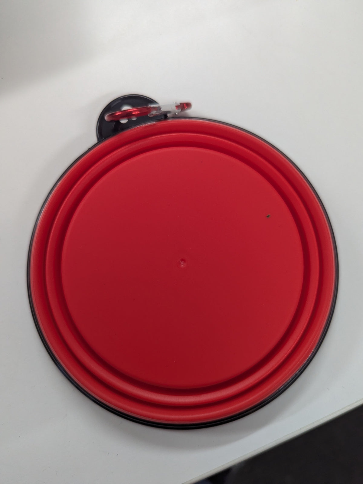 Collapsible Dog Travel Bowl
