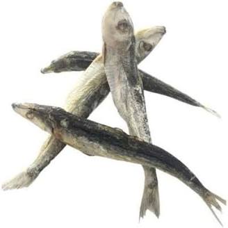 Freeze Dry Australia Whole Raw Sardines