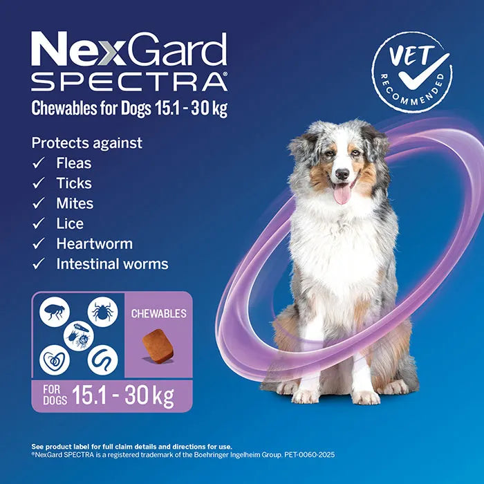 NexGard Spectra Monthly Flea, Tick & Worming Chewables for Dogs Purple 15-30kg  6-Pack
