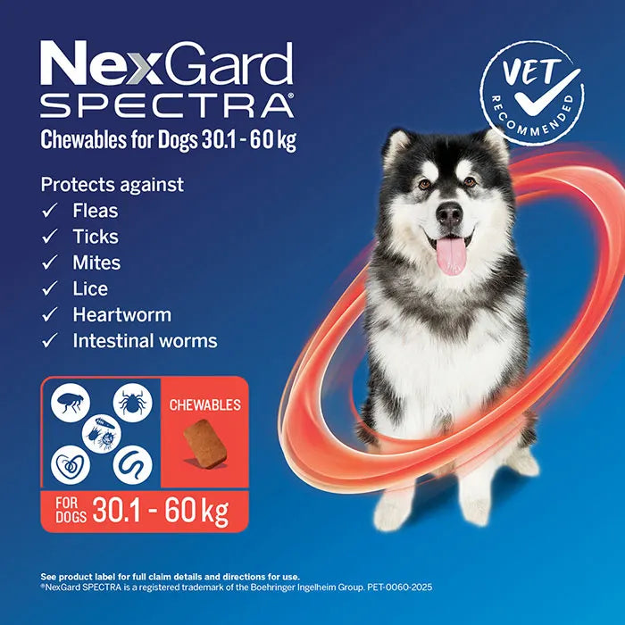 NexGard Spectra Monthly Flea, Tick & Worming Chewables for Dogs | 6-Pack RED 30-60kg